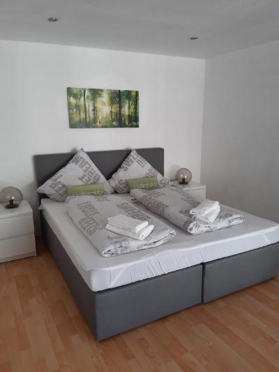 Ferienwohnung Salzmannhaus Zschopau ภายนอก รูปภาพ